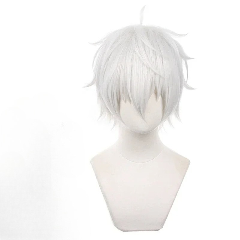 Cosplay Anime White Hair - อะนิเมะเซย์ชิโระ นางิคอสเพลย์วิกผมสีเงินสีขาว 30 ซม. วิกผมสังเคราะห์ทนความร้อนแบบสั้น